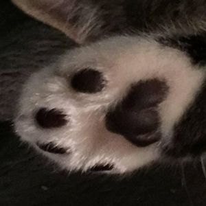 Meet your Posher, Sharron